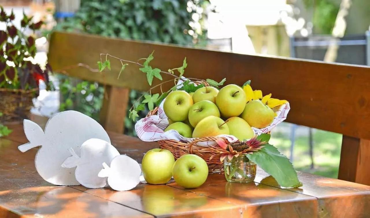 Wohnung Gravensteiner Schnalserhof Ласес Екстериор снимка
